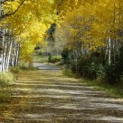 Aspen road